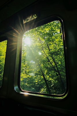 JPG 나무 편집이미지 창 여행 이동 자연 풍경 초록색 햇빛 평화 일출 고요 기차 숲 편집실사 AI포토 AI콘텐츠 식물 무기 육상교통 컬러 컨셉 대중교통 태양 노을 CG 생태계 파일형식