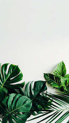 JPG 식물 편집이미지 화초 백그라운드 잎 창문 자연 생명 실내 장식 초록색 원예 조화 뷰티풀 편집실사 AI포토 AI콘텐츠 컬러 취미 내부 CG 생태계 파일형식