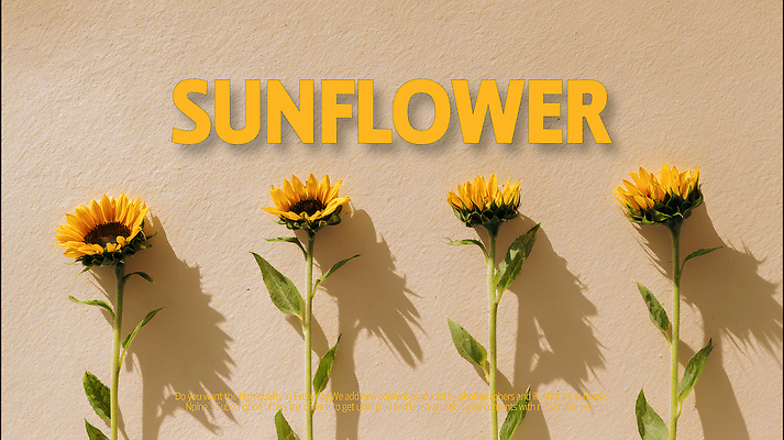 PSD 식물 편집이미지 꽃 컬러 잎 자연 생명 해바라기 그림자 여름 햇빛 태양 평화 정원 원예 뷰티풀 이미지편집 자연요소 계절 컨셉 취미 생태계 파일형식