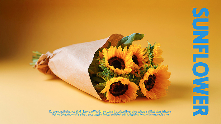 PSD 식물 편집이미지 꽃 감정 컬러 꽃다발 자연 생명 해바라기 따뜻함 밝음 장식 노란배경 뷰티풀 이미지편집 백그라운드 노란색 생태계 파일형식