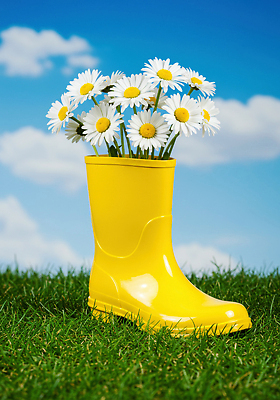 JPG 식물 구름 편집이미지 화분 꽃다발 자연 초원 야외 장식 봄 다국적 산뜻 싱그러움 편집실사 AI포토 AI콘텐츠 자연요소 계절 꽃 컨셉 CG 생태계 파일형식