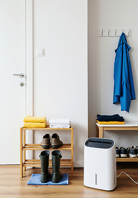 JPG 편집이미지 신발 가정 실내 생활 파란색 수건 청결 외투 공간 배열 현관문 정리 신발장 제습기 편집실사 AI포토 AI콘텐츠 컬러 상의 내부 위생용품 문 가전제품 위생 CG 파일형식