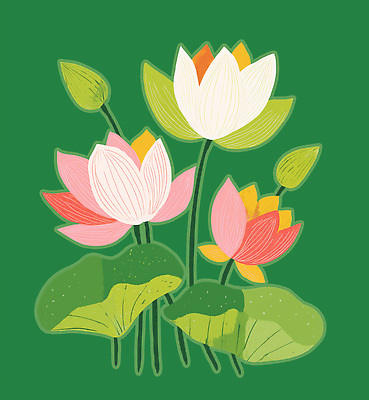 PSD 식물 꽃 컬러 백그라운드 잎 꽃밭 일러스트 자연 생명 한국 연꽃 풍경 여름 평화 정원 연습 생태계 조화 뷰티풀 자연친화 국내일러스트 계절 아시아 컨셉 파일형식