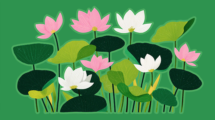 PSD 식물 꽃 컬러 잎 일러스트 자연 생명 연꽃 장식 초록색 여름 정원 연못 수중식물 연습 생태계 조화 뷰티풀 경관 국내일러스트 계절 풍경 파일형식
