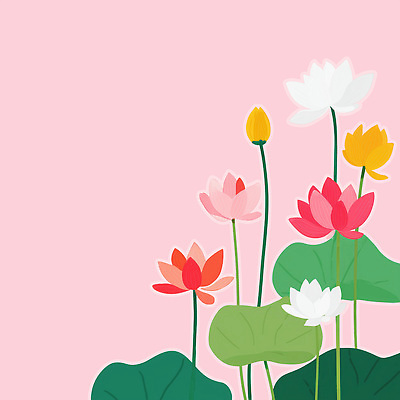 PSD 식물 꽃 화초 분홍색 컬러 꽃다발 백그라운드 일러스트 자연 연꽃 형상 장식 여름 정원 촉촉함 연습 조화 뷰티풀 국내일러스트 계절 젖음 생태계 파일형식