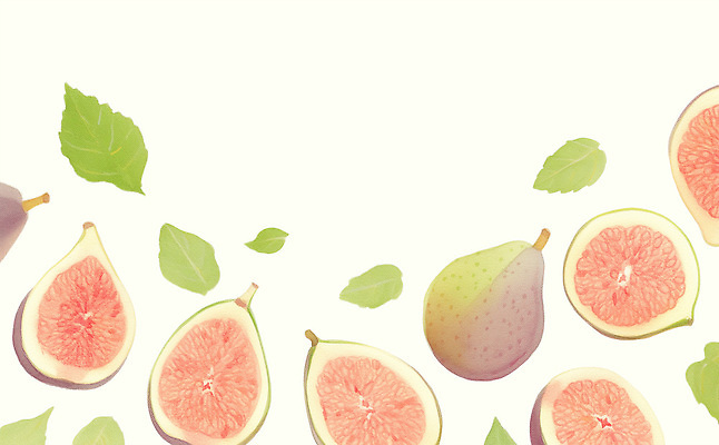 PSD 식물 디자인 백그라운드 과일 일러스트 자연 나뭇잎 따뜻함 건강 장식 여름 농장 식사 신선 분위기 과수원 이미지 무화과 색감 국내일러스트 계절 컨셉 잎 농업 생태계 파일형식