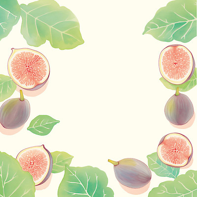 PSD 식물 커플 예술 컬러 잎 과일 일러스트 자연 미술 여름 농작물 신선 맛 조화 채색 무화과 색감 디지털아트 국내일러스트 계절 컨셉 농업 관계 문화예술 생태계 파일형식