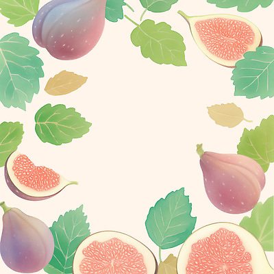 PSD 식물 디자인 백그라운드 잎 과일 일러스트 자연 디저트 건강 장식 여름 식사 신선 배열 무화과 뷰티풀 색감 국내일러스트 계절 음식 생태계 파일형식