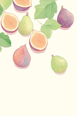 PSD 디자인 컬러 잎 과일 일러스트 재료 자연 디저트 건강 풍경 여름 농장 신선 맛 과수원 그림 비타민 무화과 정물화 선박 국내일러스트 식물 계절 음식 컨셉 수상교통 농업 생태계 영양소 파일형식