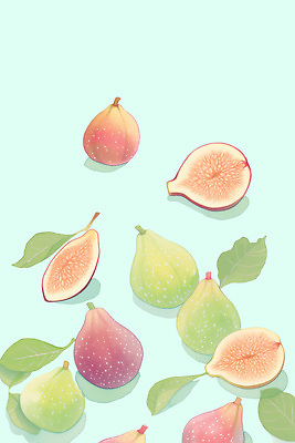 PSD 식물 컬러 백그라운드 잎 과일 일러스트 자연 건강 여름 농장 수확 신선 빈티지 달콤 배열 비타민 무화과 과일샐러드 자연친화적 디지털아트 국내일러스트 계절 컨셉 농업 샐러드 맛 생태계 영양소 파일형식