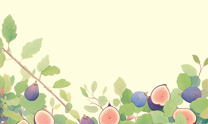 PSD 식물 디자인 예술 백그라운드 패턴 과일 일러스트 자연 생명 고요 가을 이미지 부드러움 조화 무화과 색감 국내일러스트 계절 무늬 감각 생태계 파일형식
