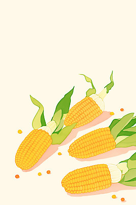PSD 식물 잎 농업 채소 일러스트 자연 건강 옥수수 요리 여름 농장 노란색 수확 신선 맛 상품 준비 질감 국내일러스트 계절 산업 컬러 컨셉 곡류 생태계 파일형식