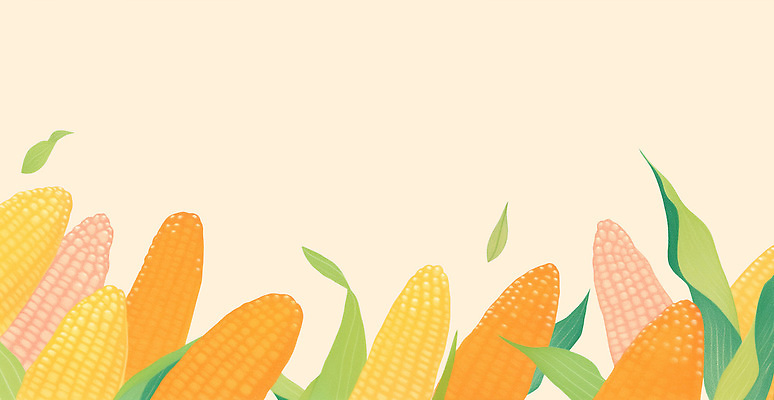 PSD 식물 계절 컬러 잎 밭 농업 일러스트 자연 바람 건강 옥수수 풍경 농작물 농장 농사 수확 성장 유기농 생태계 국내일러스트 자연요소 웰빙 산업 날씨 곡류 파일형식