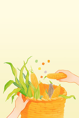 PSD 식물 손 밭 농업 일러스트 모션 자연 건강 옥수수 여름 농작물 환경 농사 금색 수확 신선 농부 지역 소득 풍요 국내일러스트 직업 계절 산업 컬러 컨셉 곡류 신체부위 생태계 파일형식