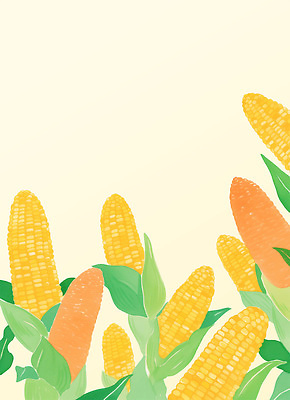 PSD 식물 열매 컬러 잎 밭 농업 일러스트 자연 생명 옥수수 풍경 여름 파란색 햇빛 농장 환경 농사 금색 수확 성장 옥수수밭 국내일러스트 계절 산업 곡류 태양 생태계 파일형식