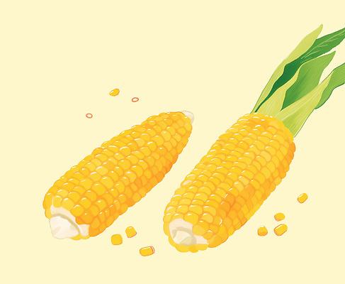 PSD 식물 무료이미지 농업 채소 일러스트 재료 자연 옥수수 요리 여름 농작물 농장 노란색 식사 수확 신선 맛 원예 뿌리 비타민 건강식 국내일러스트 계절 산업 음식 컬러 컨셉 곡류 취미 생태계 영양소 파일형식 무료콘텐츠