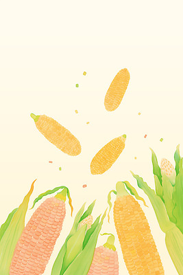 PSD 식물 전통 잎 농업 채소 일러스트 자연 건강 옥수수 풍경 여름 농장 농경지 농사 금색 수확 성장 농촌 색채 수확철 국내일러스트 계절 산업 컬러 곡류 시골 생태계 파일형식