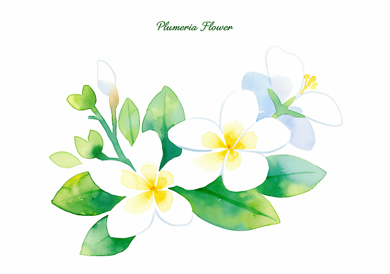 PSD 식물 꽃 백그라운드 잎 일러스트 자연 생명 여름 화사함 플루메리아 조화 뷰티풀 색감 차분 국내일러스트 계절 컨셉 생태계 파일형식