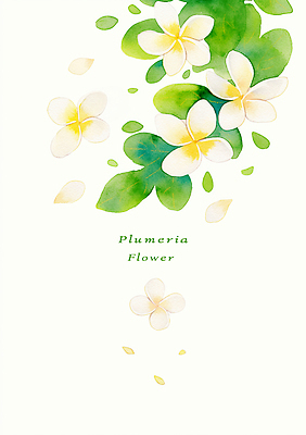 PSD 식물 디자인 꽃 예술 컬러 잎 일러스트 자연 수채화 장식 그림 원예 화사함 플루메리아 뷰티풀 국내일러스트 컨셉 취미 생태계 파일형식