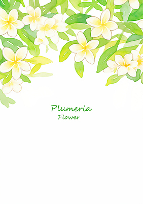 PSD 식물 디자인 계절 꽃 상징 컬러 백그라운드 잎 일러스트 자연 장식 화사함 플루메리아 감성 뷰티풀 국내일러스트 컨셉 생태계 파일형식