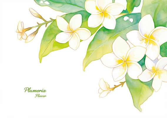 PSD 식물 디자인 꽃 예술 백그라운드 잎 일러스트 자연 생명 수채화 그림 화사함 플루메리아 조화 뷰티풀 색감 국내일러스트 컨셉 생태계 파일형식