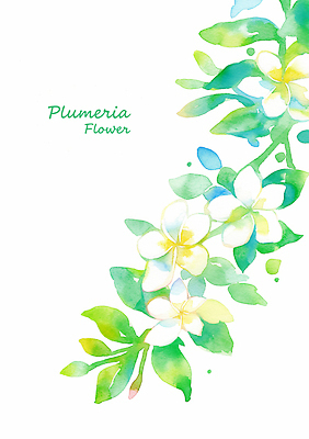 PSD 식물 디자인 꽃 예술 컬러 꽃다발 잎 일러스트 자연 수채화 여름 봄 화사함 플루메리아 뷰티풀 국내일러스트 계절 컨셉 생태계 파일형식