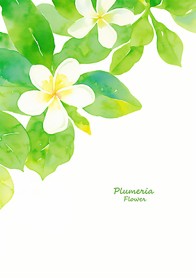 PSD 식물 꽃 잎 일러스트 자연 생명 풍경 초록색 여름 꽃집 식물원 향기 화사함 뷰티풀 색감 국내일러스트 계절 컬러 컨셉 상점 생태계 냄새 파일형식