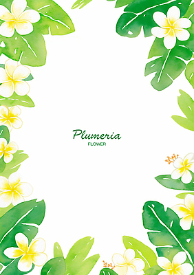 PSD 식물 디자인 꽃 예술 컬러 백그라운드 잎 일러스트 자연 수채화 장식 흰색 화사함 플루메리아 뷰티풀 색감 국내일러스트 컨셉 생태계 파일형식