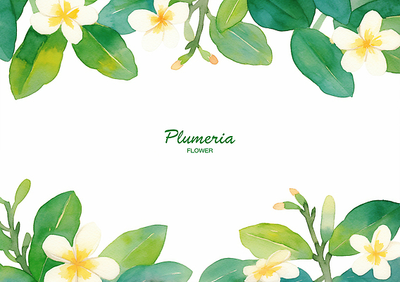 PSD 식물 디자인 꽃 예술 컬러 백그라운드 잎 일러스트 자연 장식 초록색 화사함 플루메리아 뷰티풀 국내일러스트 컨셉 생태계 파일형식