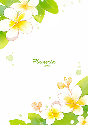 PSD 식물 디자인 꽃 예술 컬러 백그라운드 일러스트 자연 생명 장식 초록색 여름 평화 그림 플루메리아 국내일러스트 계절 컨셉 생태계 파일형식