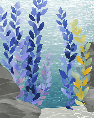 JPG 식물 컬러 일러스트 자연 초록색 파란색 평화 수중 다양 바위 수중식물 수조 수경재배 수질 국내일러스트 AI일러스트 AI콘텐츠 다수 컨셉 돌_바위 생태계 파일형식