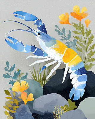 JPG 식물 예술 컬러 일러스트 자연 새우 장식 수중동물 바위 수중식물 수조 해산물 생태계 국내일러스트 AI일러스트 AI콘텐츠 동물 갑각류 돌_바위 파일형식