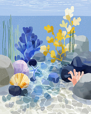 JPG 바다 일러스트 자연 조개 수중동물 바위 연못 수중식물 해조류 산호 수조 조화 국내일러스트 AI일러스트 AI콘텐츠 식물 동물 어패류 돌_바위 해양식물 자포동물 생태계 파일형식