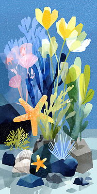 JPG 별 바다 컬러 일러스트 자연 조개 해저 수중동물 탐험 해양식물 해초 그림 조화 국내일러스트 AI일러스트 AI콘텐츠 자연요소 동물 어패류 바닷속 수중식물 해조류 생태계 파일형식