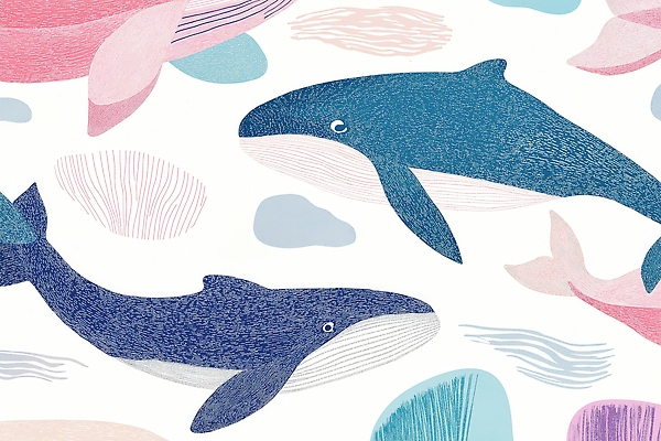 JPG 동물 디자인 바다 컬러 패턴 일러스트 자연 생명 어류 그래픽 수중 수영 수중동물 고래 그림 생태계 국내일러스트 AI일러스트 AI콘텐츠 무늬 포유류 수상스포츠 파일형식