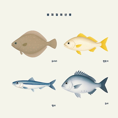 PSD 바다 일러스트 한국 어류 수중동물 망치 해산물 생태계 도미 교육자료 어획 특징 도다리 국내일러스트 동물 교육 아시아 자료 공구 파일형식