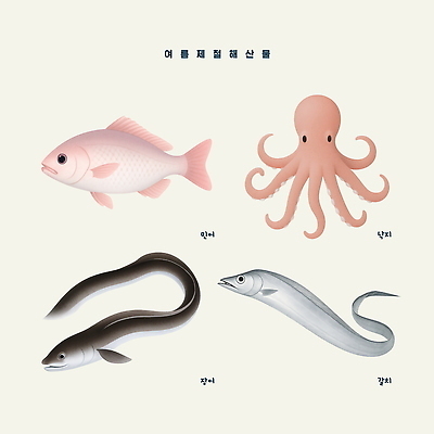 PSD 바다 일러스트 자연 생물 어업 요리 여름 수확 해산물 오징어 홍합 갈치 민어 제철 참고서 국내일러스트 계절 교육 산업 농업 어패류 연체동물 어류 수중동물 생태계 파일형식