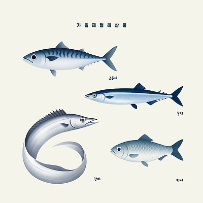 PSD 음식 바다 일러스트 생물 어류 수확 가을 해산물 생태계 특징 국내일러스트 계절 농업 수중동물 파일형식