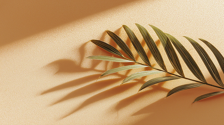 JPG 식물 편집이미지 여유 벽 컬러 잎 자연 조명 그림자 일상 햇빛 공간 광선 편안함 편집실사 AI포토 AI콘텐츠 감정 라이프 태양 감각 CG 생태계 파일형식