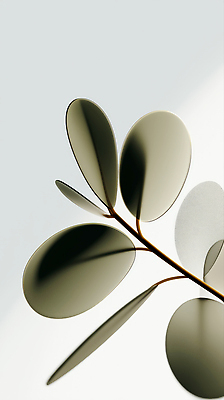 JPG 모양 식물 편집이미지 디자인 컬러 백그라운드 잎 곡선 자연 생명 빛 반사 3D 고요 우아함 뷰티풀 편집3D AI포토 AI콘텐츠 선 컨셉 디지털합성 생태계 파일형식