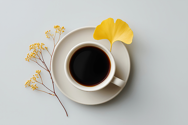 JPG 식물 편집이미지 디자인 커피 컬러 자연 탁자 일상 컵 분위기 조화 뷰티풀 스타일 차분 편집실사 AI포토 AI콘텐츠 식기 음료 가구 컨셉 라이프 CG 생태계 파일형식