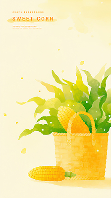 PSD 식물 예술 백그라운드 농업 채소 일러스트 자연 건강 옥수수 여름 농작물 농장 바구니 수확 신선 색감 풍요 국내일러스트 계절 산업 컨셉 곡류 생태계 파일형식