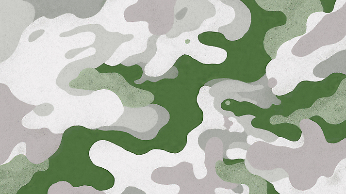 JPG 모양 디자인 예술 컬러 백그라운드 패턴 일러스트 추상 그래픽 초록색 회색 흰색 혼합 모던 질감 군용 캔버스 스타일 국내일러스트 AI일러스트 AI콘텐츠 무늬 군대 파일형식