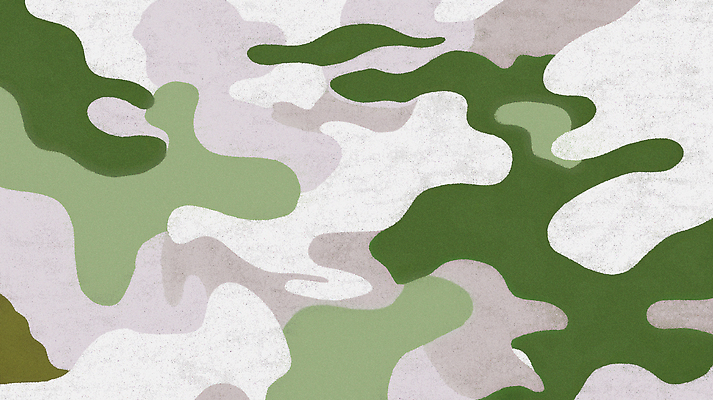 JPG 모양 디자인 예술 컬러 백그라운드 패턴 곡선 일러스트 자연 그래픽 유행 질감 군용 조화 밀리터리 창의력 스타일 국내일러스트 AI일러스트 AI콘텐츠 패션 선 무늬 군대 생태계 파일형식