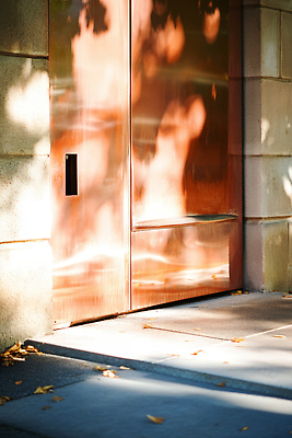 JPG 모양 편집이미지 디자인 건축 컬러 표면 나뭇잎 출입구 거리 그림자 건물 떨어짐 조화 편집실사 AI포토 AI콘텐츠 건축물 컨셉 잎 CG 파일형식