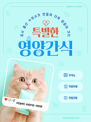 템플릿 포스터 음식 재료 디저트 건강 반려동물 귀여움 고양이 알림 영양소 특별함 프리미엄 이미지템플릿 AI파일 동물 컨셉 포유류 파일형식 벡터