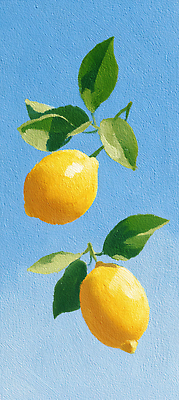 JPG 식물 편집이미지 과일 자연 하늘 여름 노란색 신선 레몬 그림 조화 비타민C 색감 편집실사 AI일러스트 AI콘텐츠 계절 컬러 CG 생태계 비타민 파일형식