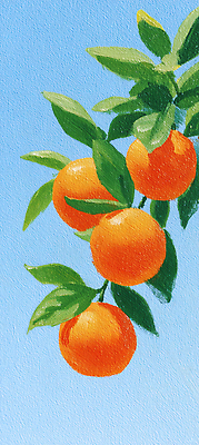 JPG 나무 식물 편집이미지 열매 과일 자연 생명 귤 농장 정원 주황색 수확 편집실사 AI일러스트 AI콘텐츠 컬러 농업 CG 생태계 파일형식