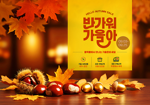 PSD 편집이미지 계절 자연 이벤트 장식 노란색 세일 가을 분위기 고객 알림 도토리 마른잎 유치 이미지편집 컬러 컨셉 잎 견과류 치아 생태계 파일형식