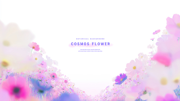 PSD 계절 컬러 꽃밭 일러스트 자연 하늘 바람 풍경 소녀 일상 소풍 평화 산책 가을 즐거움 코스모스 뷰티풀 순간 국내일러스트 자연요소 여자 꽃 감정 어린이 컨셉 날씨 휴식 라이프 야외활동 생태계 파일형식